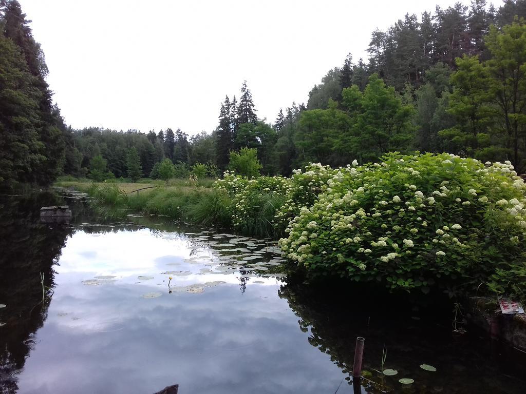 Mill Hause Apart 1 Druskininkai Luaran gambar