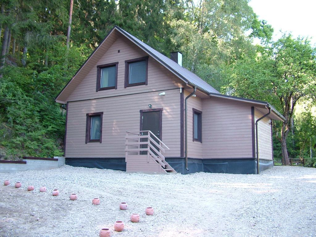 Mill Hause Apart 1 Druskininkai Luaran gambar